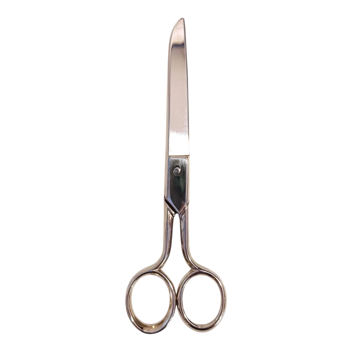 Un par de tijeras de plata con mangos redondeados y hojas cerradas, mostradas sobre un fondo blanco.